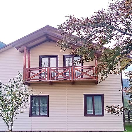 Appartement Гірська Роса à Verkhniy Yasenov Extérieur photo